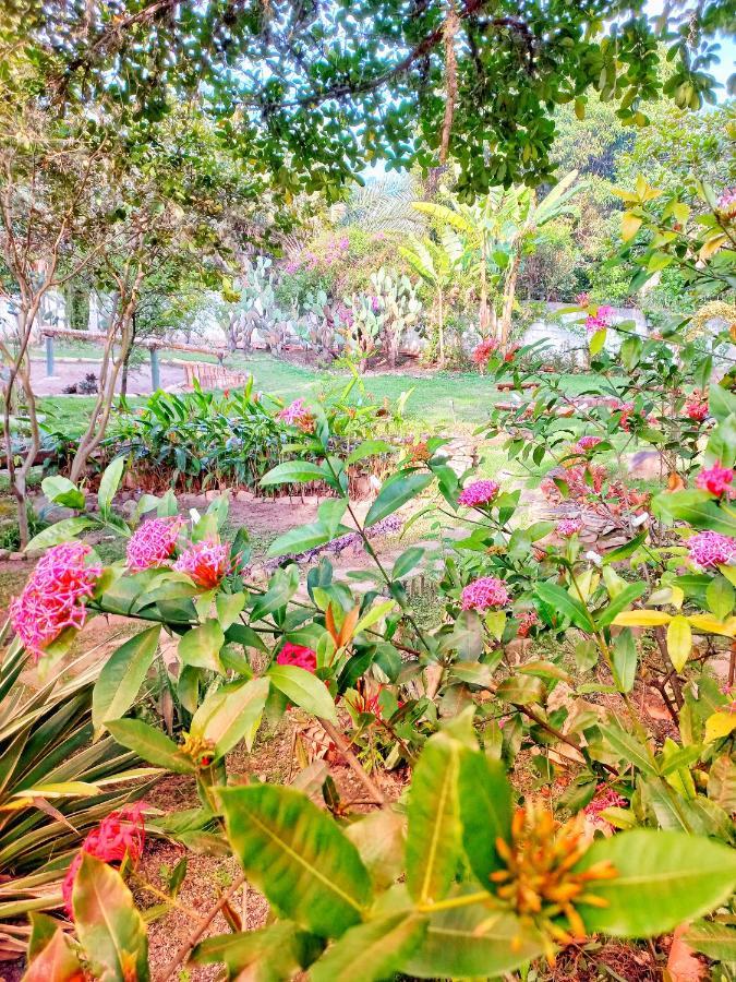 Recanto Villa Sao Joao Palmeiras  Bagian luar foto